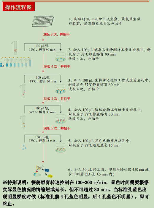 大鼠白介素2检测试剂盒