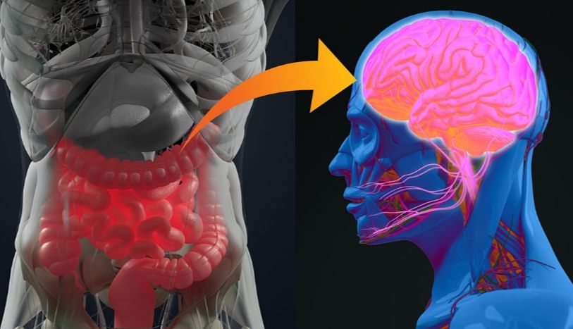 母亲的幽门胃炎，能够导致下一代的精神分裂？
