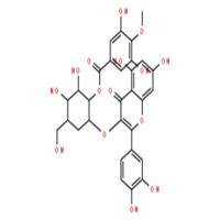 2”-O-没食子酰基金丝桃苷