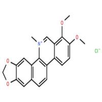 盐酸白屈菜红碱