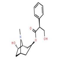 消旋山莨菪碱