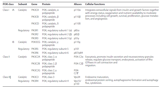 助力您的PI3K研究