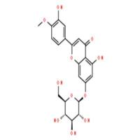 香叶木素-7-O-葡萄糖苷