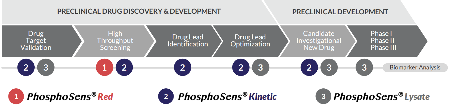 突破传统！激酶研究-实时检测！