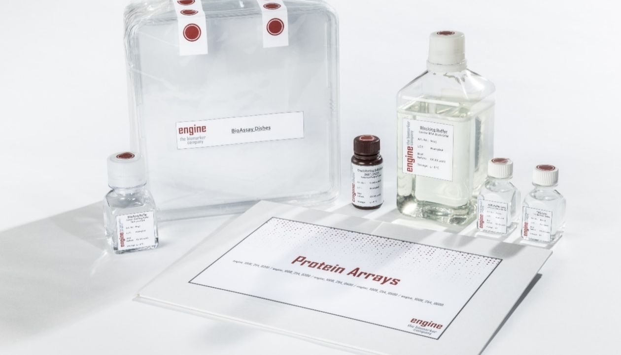 ENGINE（德国） 15k/23k蛋白芯片助力发现全新的生物标志物