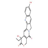 10-羟基喜树碱