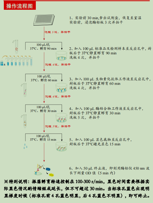 小鼠粒细胞巨噬细胞集落刺激因子检测试剂盒