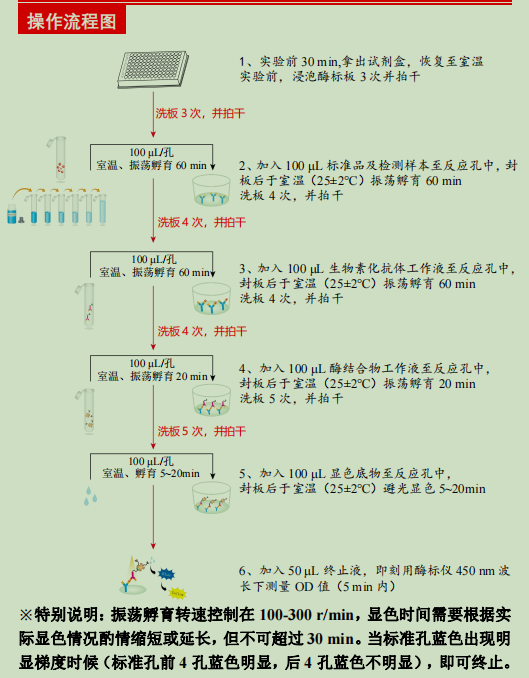 牛白介素8 ELISA试剂盒