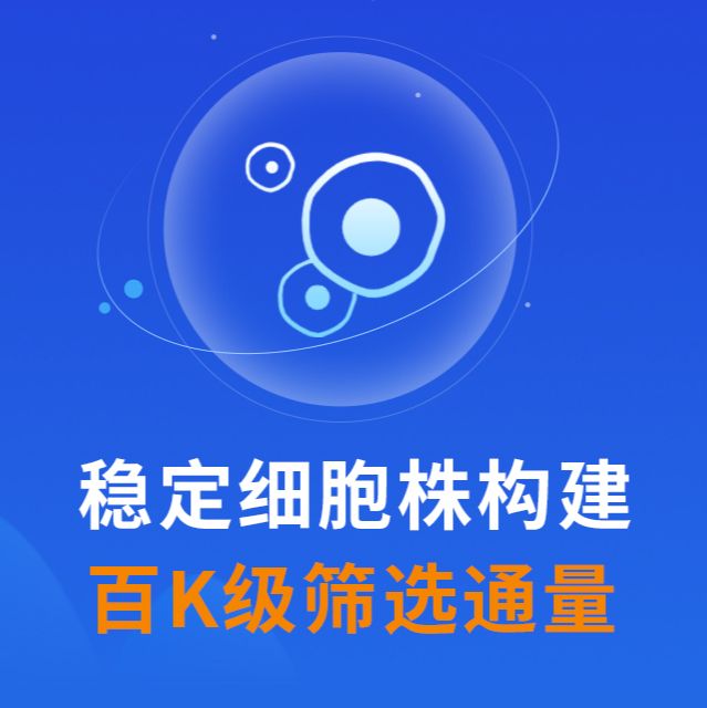稳转细胞株筛选-稳定细胞系构建服务