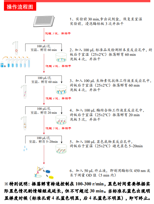 猴白介素1β酶联免疫检测试剂盒