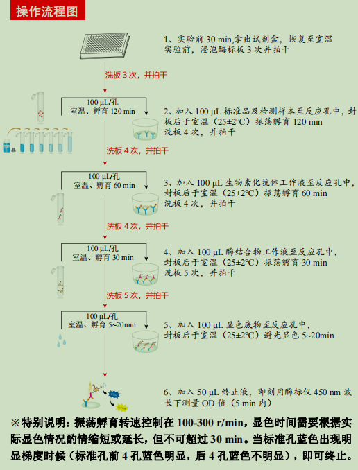 产品细节图片2