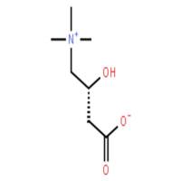 左旋肉碱