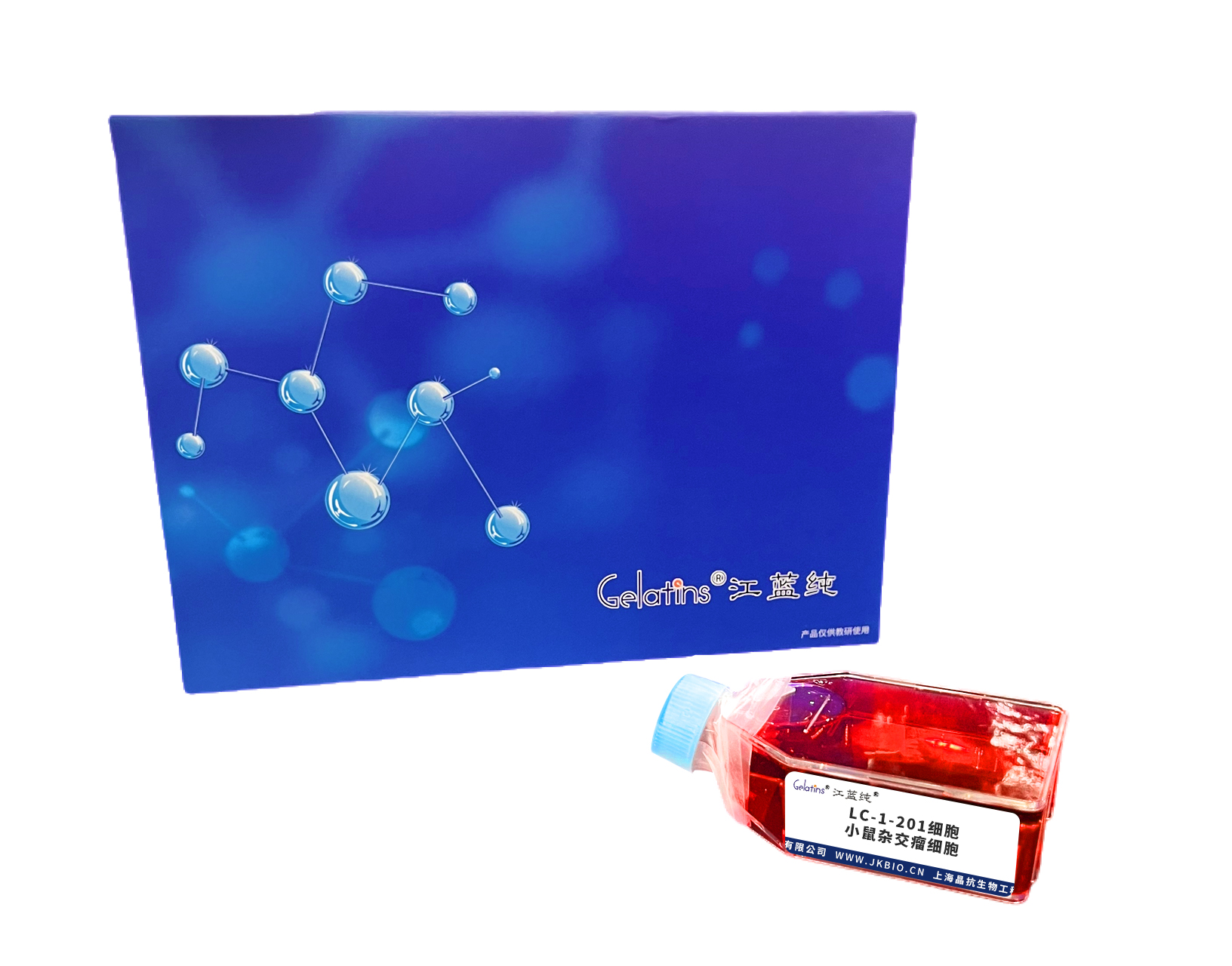 LC-1-201细胞 ; 小鼠杂交瘤细胞