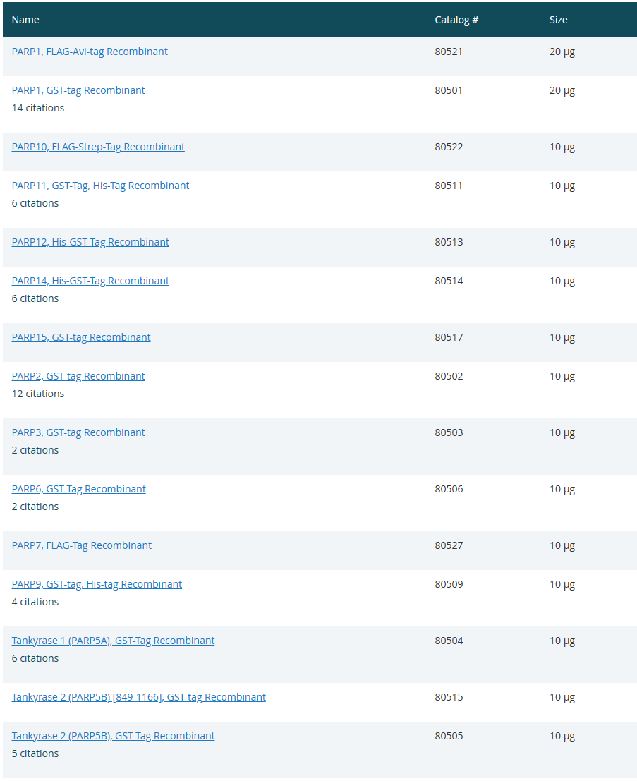 温故知新!BPS Bioscience 的 PARP 解决方案