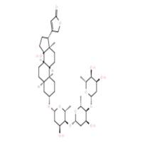 洋地黄毒苷