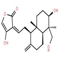 脱水穿心莲内酯