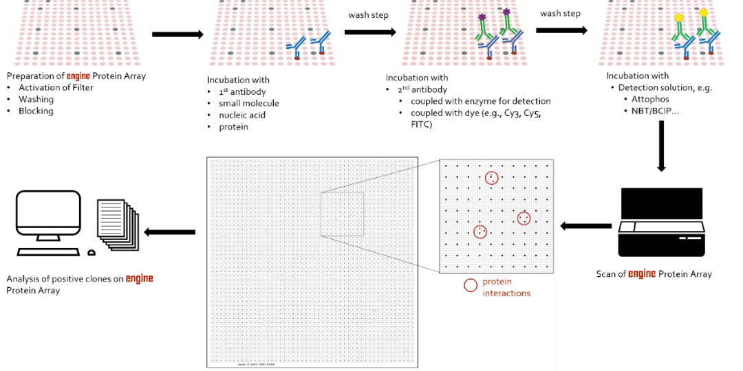 加速肿瘤和自身免疫病新的生物标志物发现