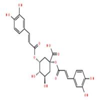 1,5-二咖啡酰奎宁酸