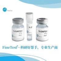 人SIRT3蛋白|Recombinant Human SIRT3 protein