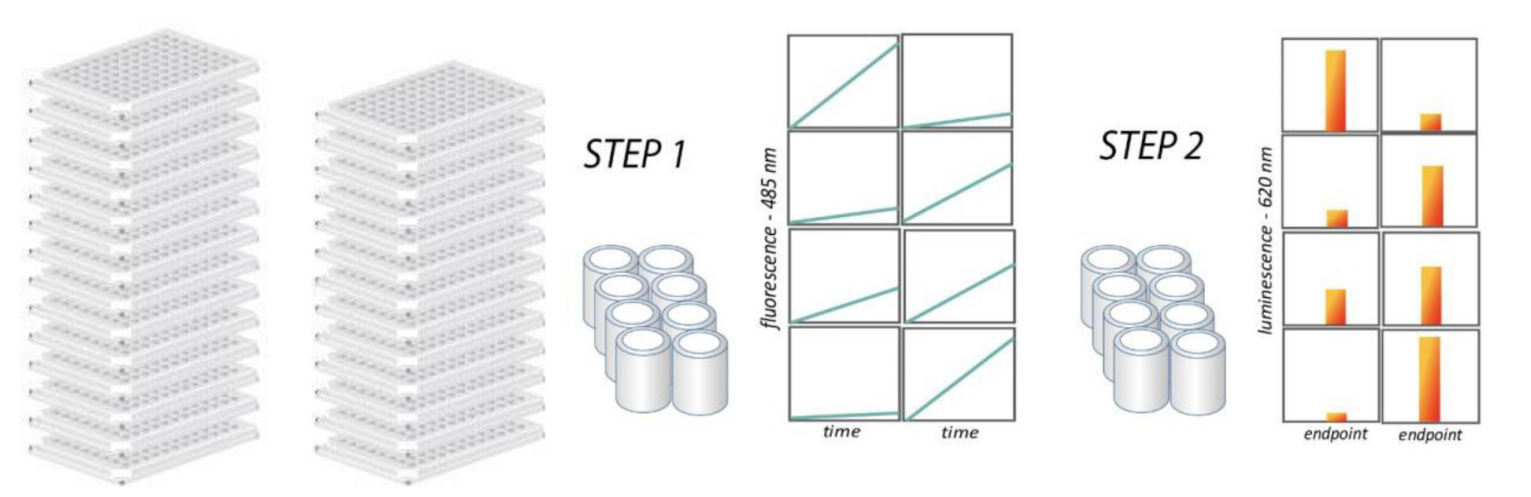 突破传统！激酶研究-实时检测！
