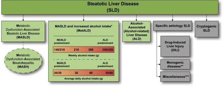 课程预告：临床前MASH(NASH)动物模型开发与应用