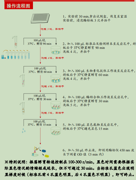 大鼠粒细胞巨噬细胞集落刺激因子检测试剂盒