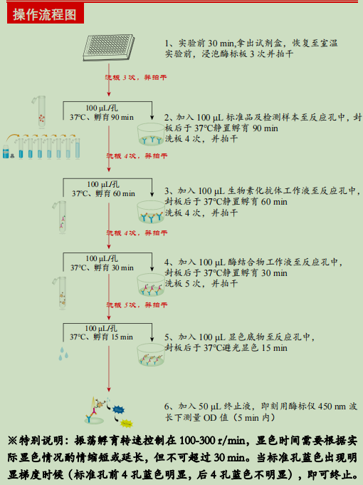 人巨噬细胞集落刺激因子检测试剂盒