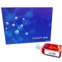 Lsc-035细胞 ; 小鼠杂交瘤细胞