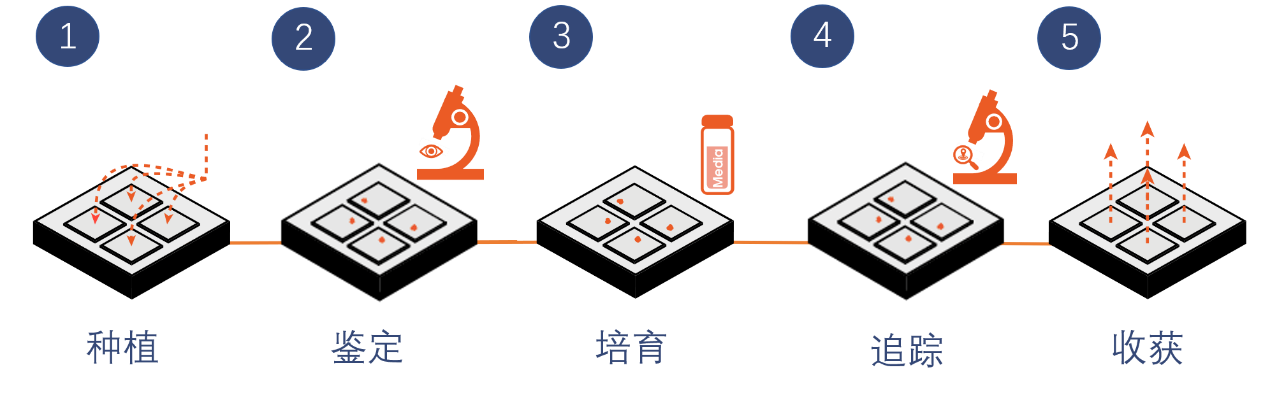 新闻图片3
