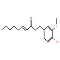 6-姜烯酚