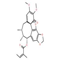 异南五味子丁素