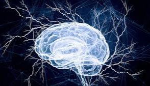 ENGINE蛋白阵列 | 血液抗体检查的革新工具