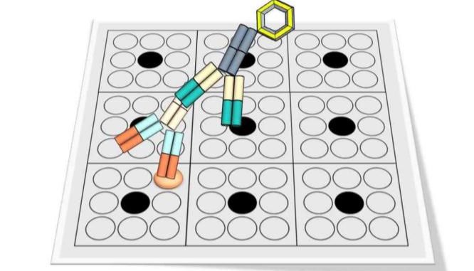 抗体特异性服务