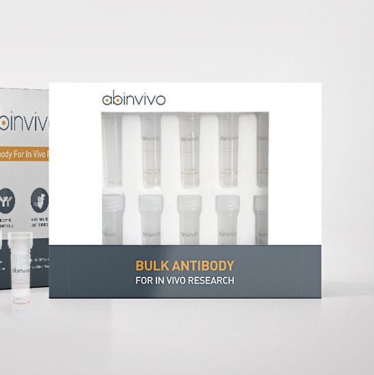 V6 Anti-Mouse CD3E(1E11.D)