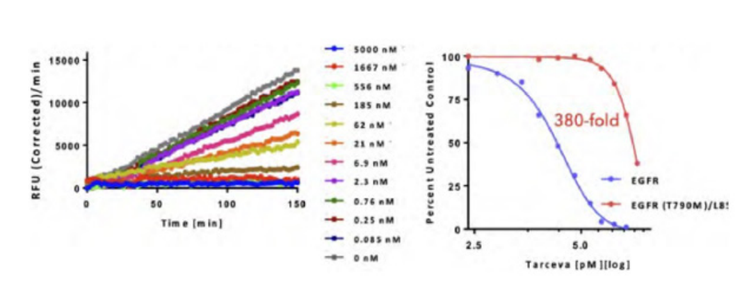 突破传统！激酶研究-实时检测！