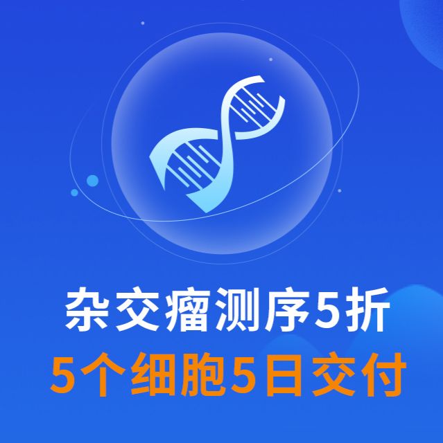 杂交瘤抗体基因测序-杂交瘤测序