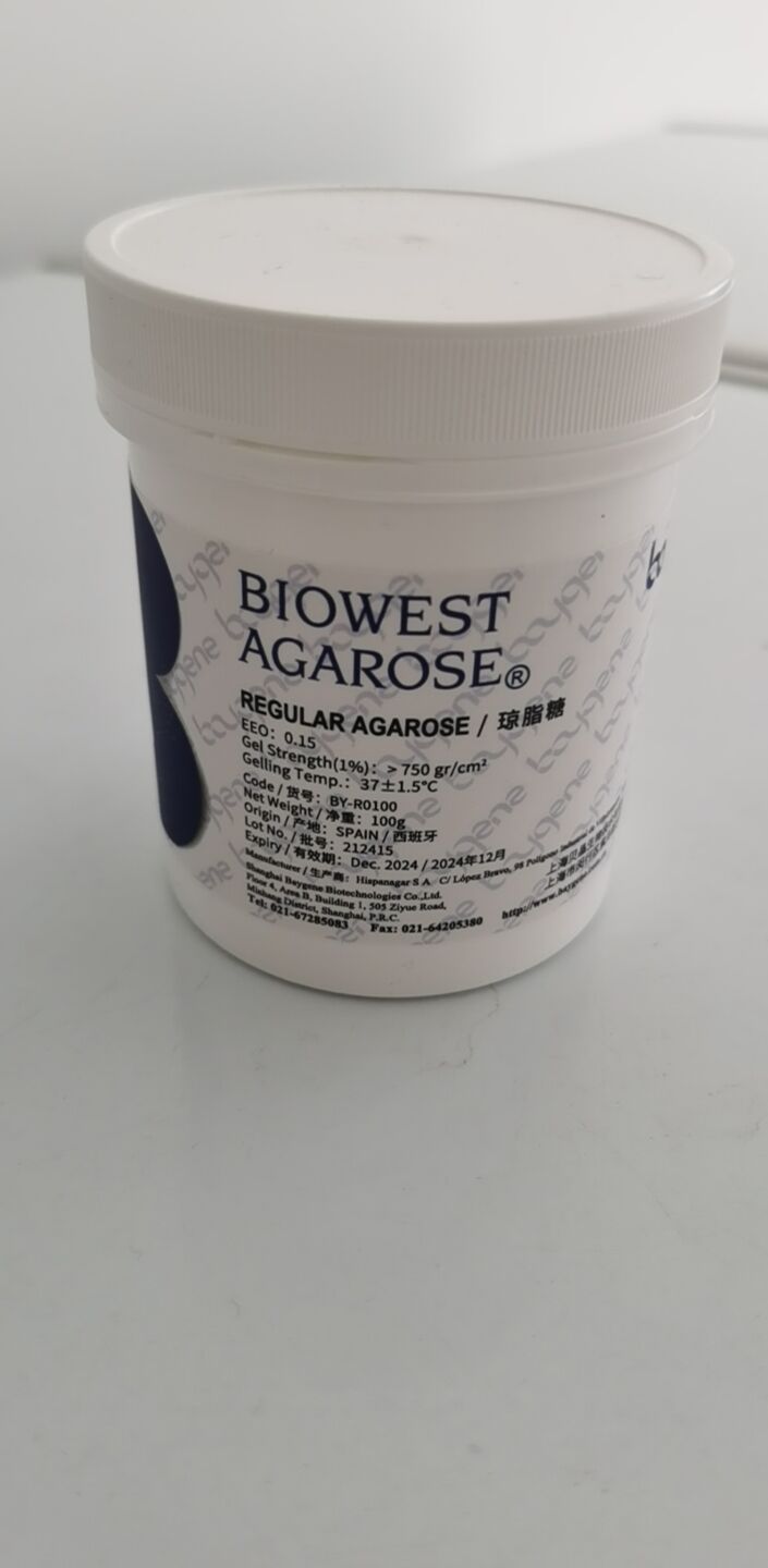 琼脂糖凝胶电泳实验原理与注意事项