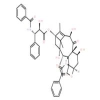 10-去乙酰紫杉醇;7-表-去乙酰基紫杉醇