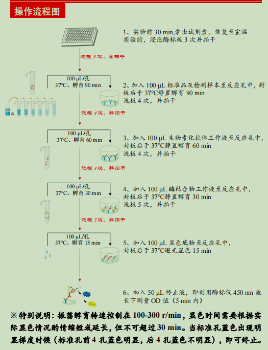 人骨桥蛋白检测试剂盒