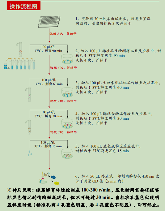 人C反应蛋白检测试剂盒