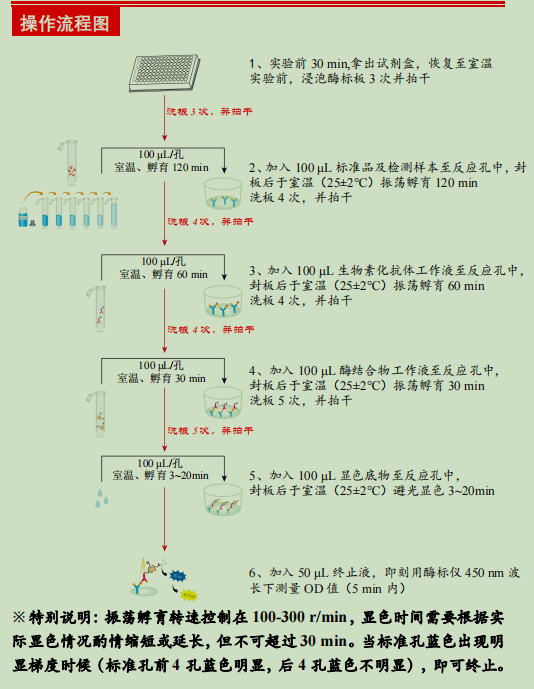 小鼠白介素21检测试剂盒