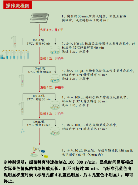 人巨噬细胞炎性蛋白3α检测试剂盒