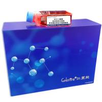 HEV-4细胞 ; 抗戍型肝炎病毒单克隆抗体杂交瘤细胞株