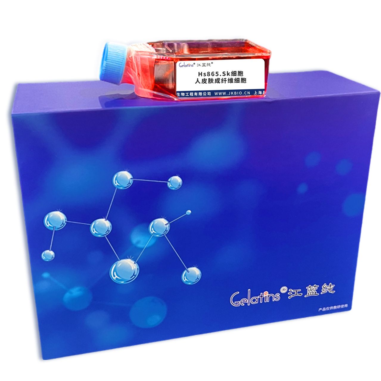 Hs865.Sk细胞 ; 人皮肤成纤维细胞