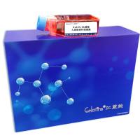 Hs865.Sk细胞 ; 人皮肤成纤维细胞