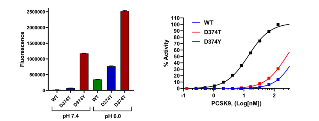 热品推荐 | PCSK9活性检测试剂盒和蛋白