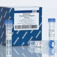Attractene Transfection Reagent