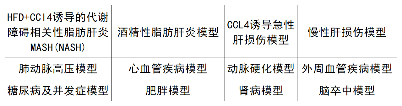 HFD+CCl4诱导的代谢功能障碍相关性脂肪肝炎MASH（NASH）小鼠