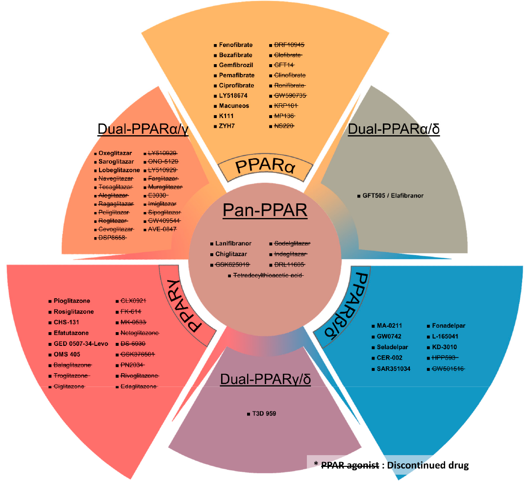重磅！FDA批准近十年里程碑肝病