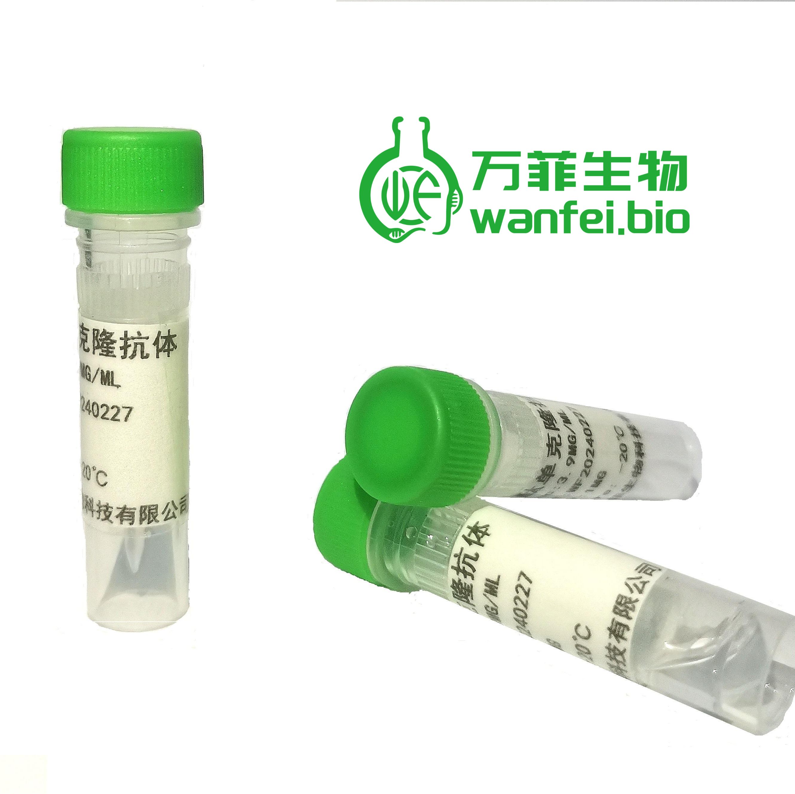 万古霉素单克隆抗体 